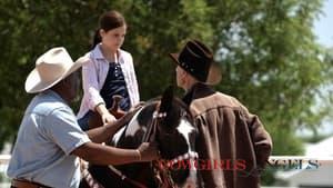 Cowgirls n' Angels