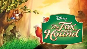The Fox and the Hound
