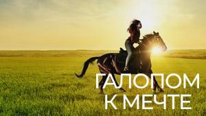 If I Could Ride