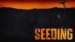 The Seeding