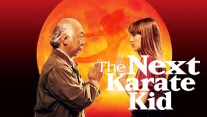 The Next Karate Kid
