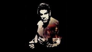 Cage II: The Arena of Death