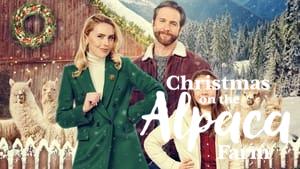 Christmas on the Alpaca Farm