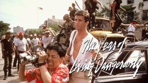 The Year of Living Dangerously