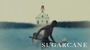 Sugarcane