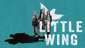 Little Wing