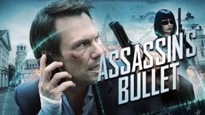 Assassin's Bullet