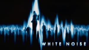 White Noise