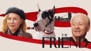 The Friend