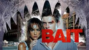 Bait