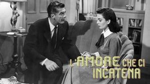 Affair with a Stranger