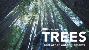 Trees and Other Entanglements