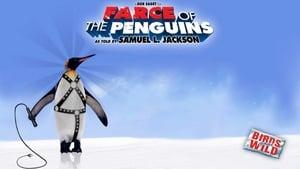 Farce of the Penguins