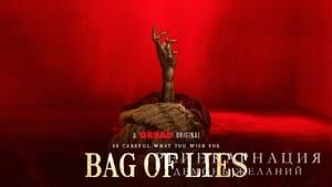 Bag of Lies