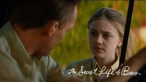 The Secret Life of Bees