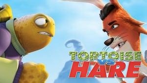 Unstable Fables: Tortoise vs. Hare