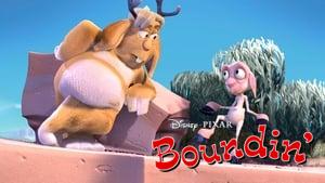 Boundin'