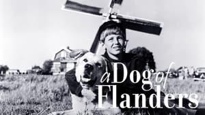 A Dog of Flanders