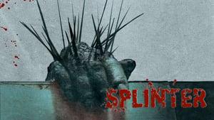 Splinter