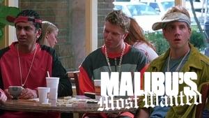 Malibu's Most Wanted