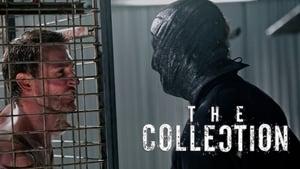 The Collection