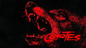 Coyotes