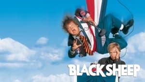Black Sheep