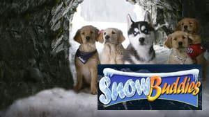 Snow Buddies