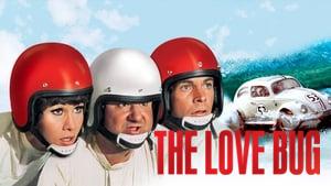 The Love Bug