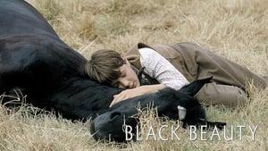 Black Beauty