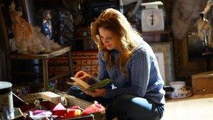 A Wisconsin Christmas Pie