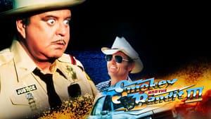Smokey and the Bandit Part 3