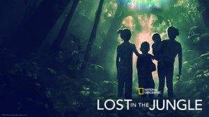 Lost in the Jungle