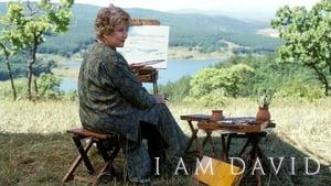 I Am David