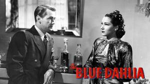 The Blue Dahlia