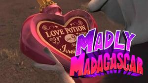 Madly Madagascar