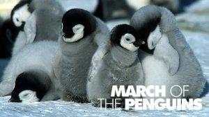 March of the Penguins