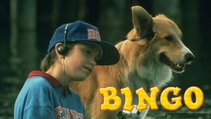 Bingo
