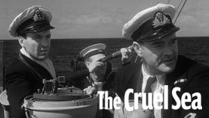 The Cruel Sea