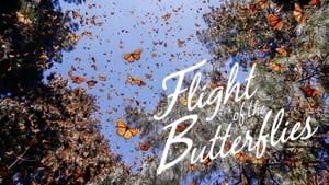 Flight of the Butterflies