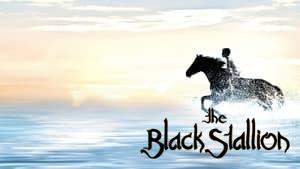 The Black Stallion
