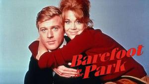 Barefoot in the Park