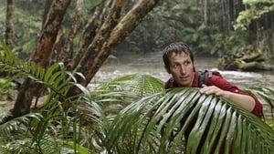 Willi und die Wunder dieser Welt