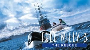 Free Willy 3: The Rescue