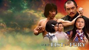 New Fist of Fury