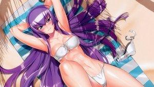 High School of the Dead: Drifters of the Dead