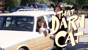 That Darn Cat