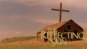 The Reflecting Skin
