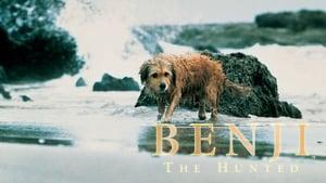 Benji the Hunted