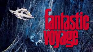 Fantastic Voyage